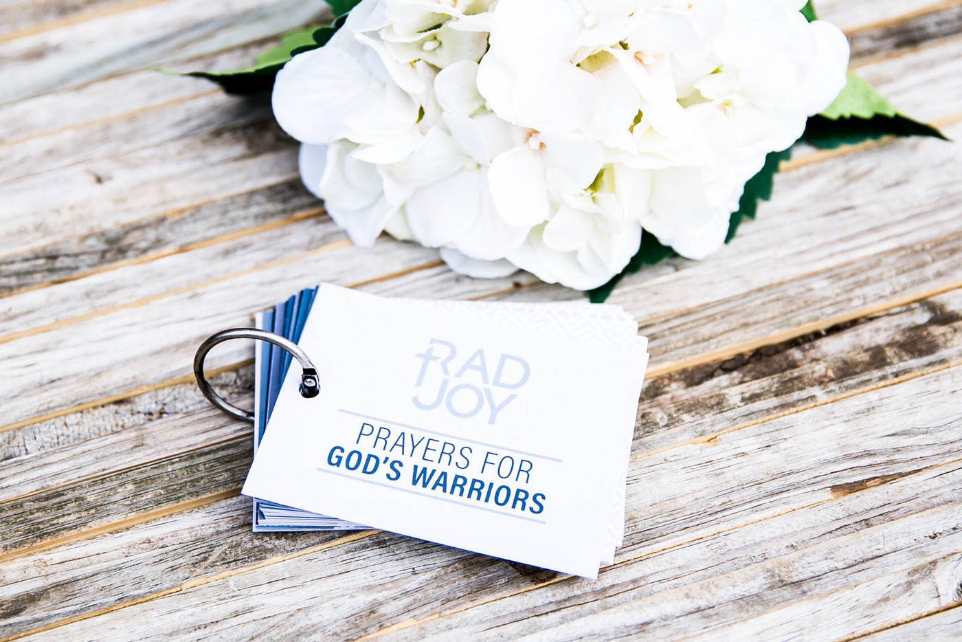 Rad Joy - Prayer Cards for God's Warriors (Adults)