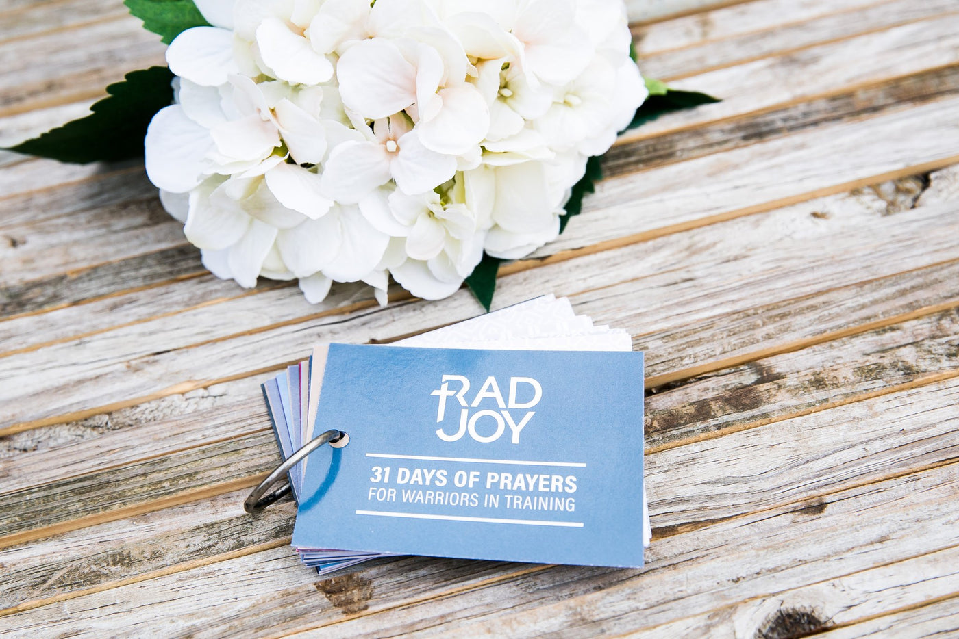 Rad Joy - Prayer Cards for God's Warriors in Training