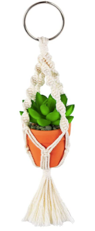 Small Teracotta Macrame Hanging Succulents (2 Options)
